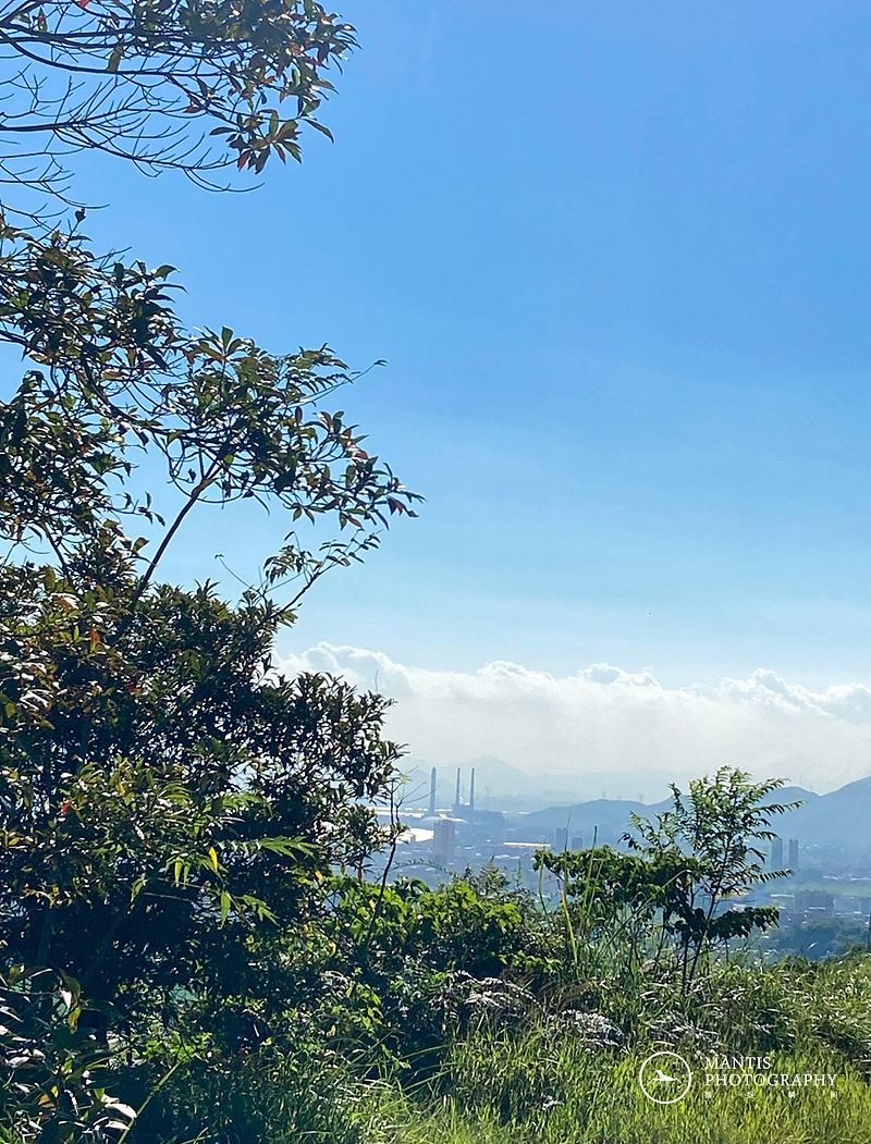 MANTIS 随拍2021（图ZMjgxNjA5Nzg0） - 风光摄影 - 站酷设计师aaa62621185原创素材 - 站酷ZCOOL