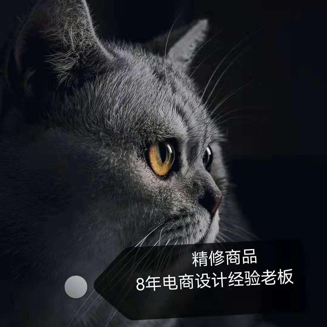 海报+修图+封面+详情（图ZMjg0MTMwMDM2） - 海报 - 站酷设计师MONICA8原创素材 - 站酷ZCOOL