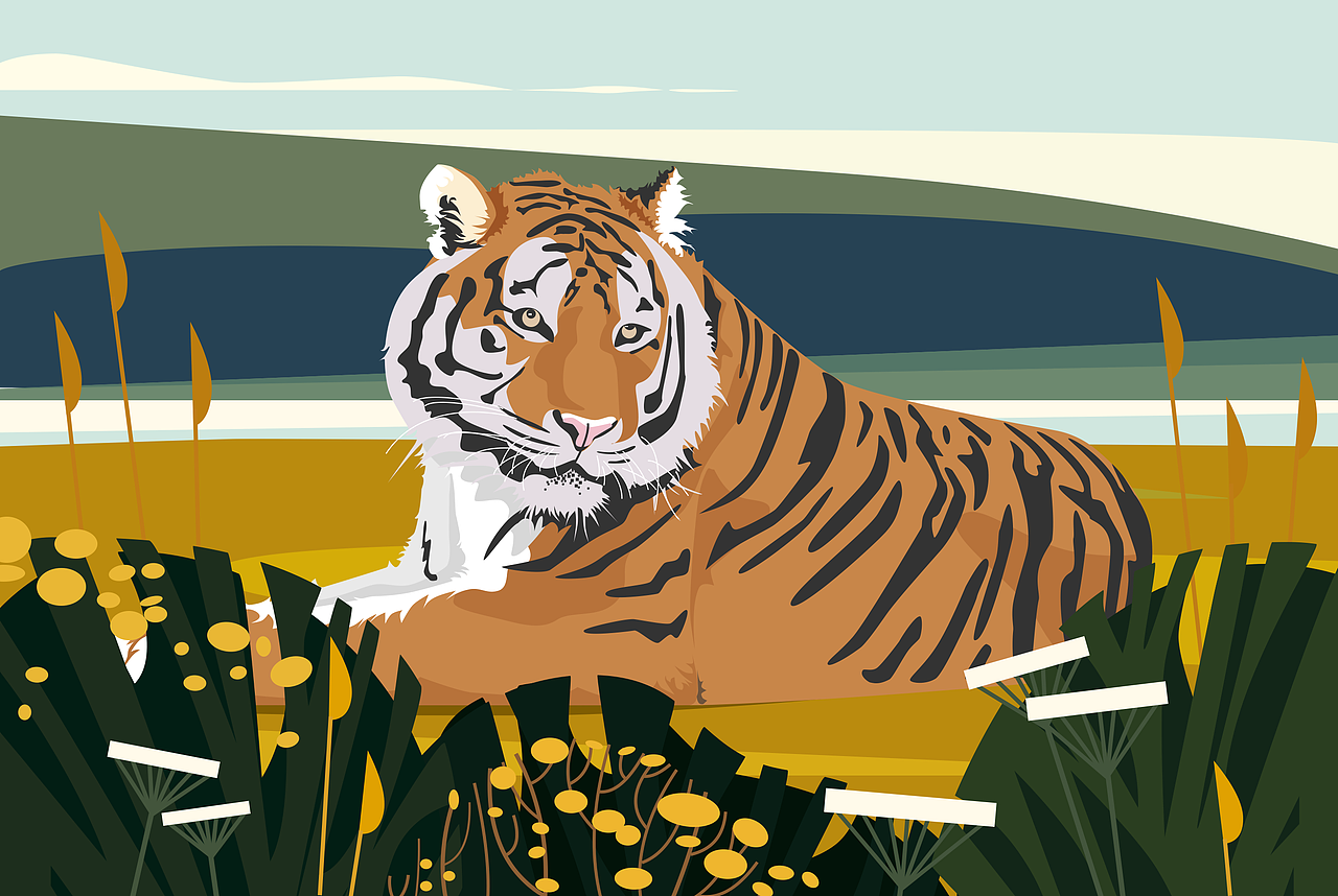 老虎（图ZOTY2NzM1NDg=） - 商业插画 - 站酷设计师小勾勾原创素材 - 站酷ZCOOL