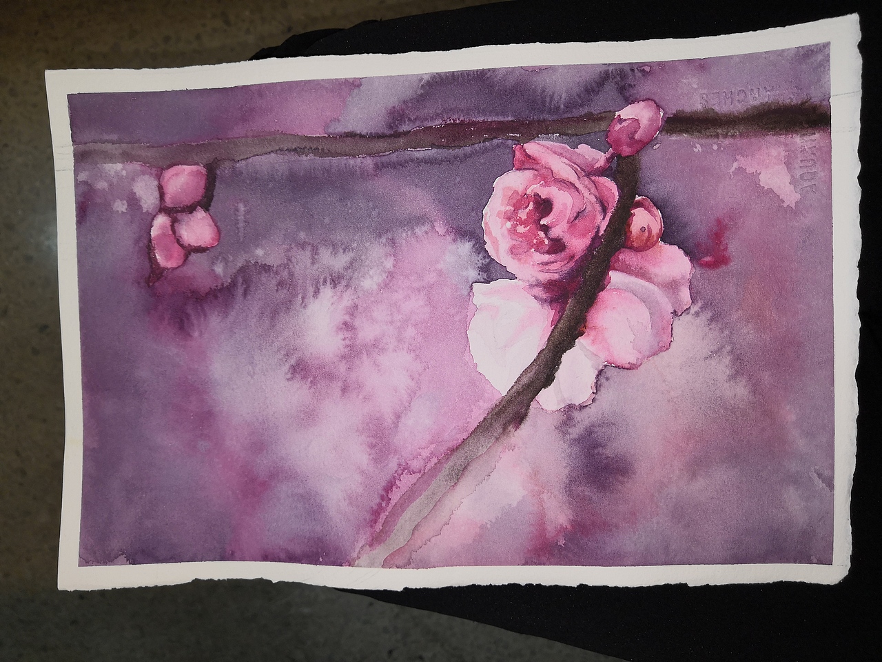 小白水彩成长记～（图ZMTk5Njg4OTQ0） - 绘画 - 站酷设计师颜大翩原创素材 - 站酷ZCOOL