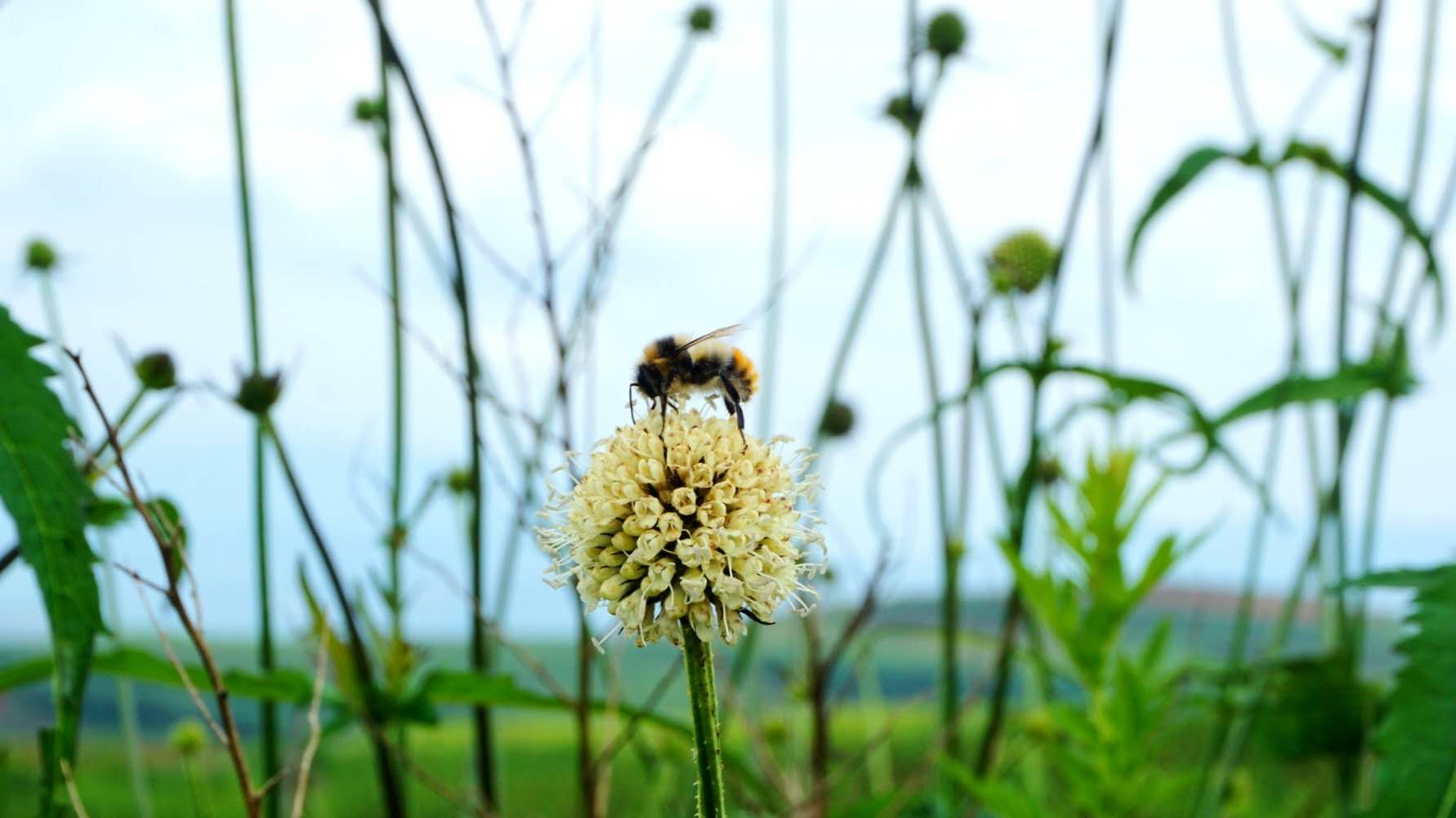記錄者陳未的個(gè)人主頁（背景預(yù)覽） - 主頁背景設(shè)置 - 站酷設(shè)計(jì)師記錄者陳未原創(chuàng)素材 - 站酷ZCOOL