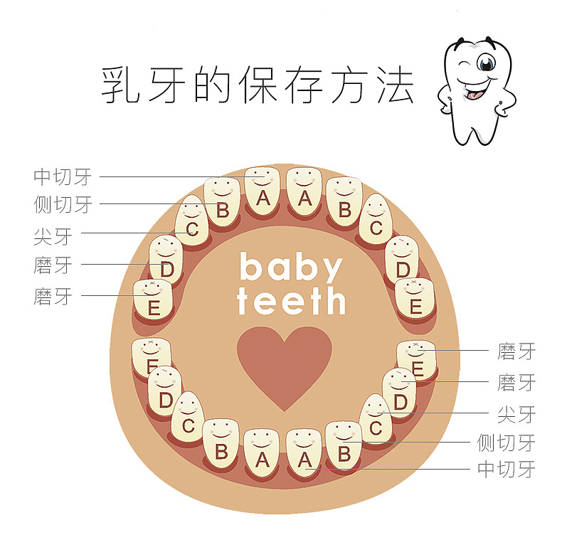 儿童高档乳牙盒详情页家具详情页（图ZMTc4NjQ1NTQ4） - 其他平面 - 站酷设计师峰子0424原创素材 - 站酷ZCOOL