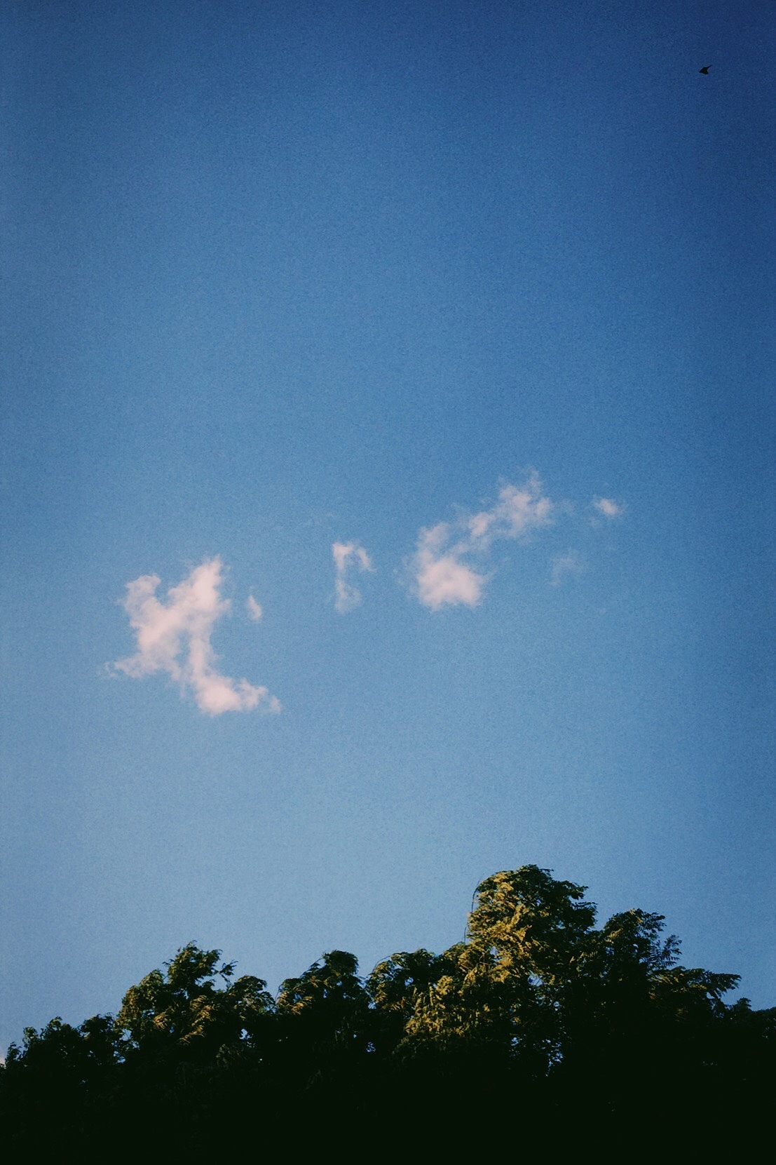 VOL.#（圖ZMTYwNTUyNjUy） - 人像攝影 - 站酷設(shè)計(jì)師翔子lens原創(chuàng)素材 - 站酷ZCOOL