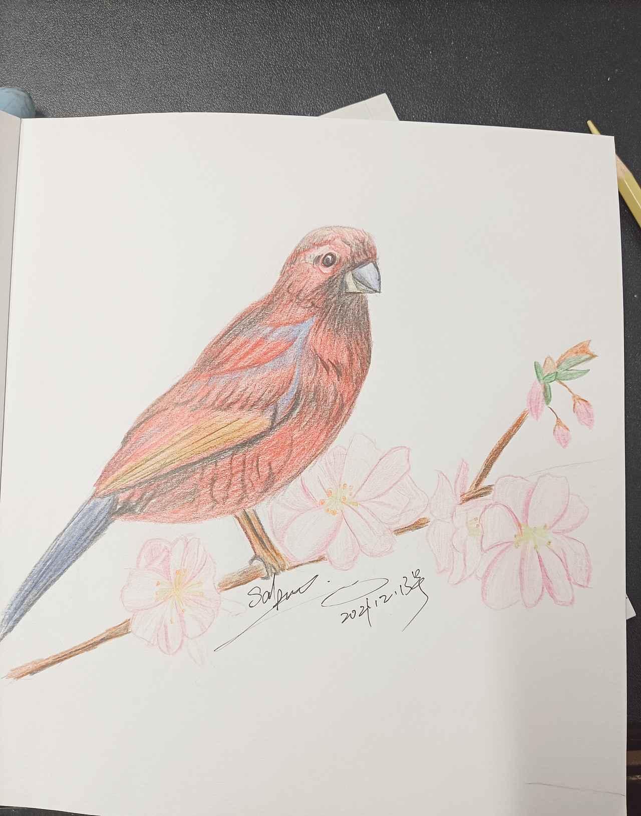 雀3（图ZMjgxNjYwNjIw） - 像素画 - 站酷设计师瑞琪插画原创素材 - 站酷ZCOOL