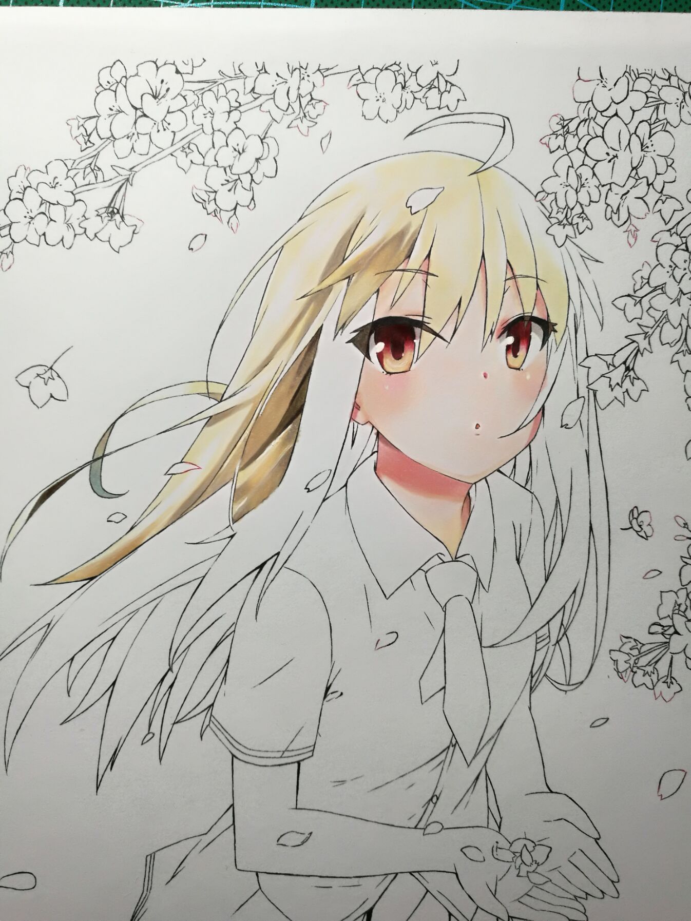 椎名真白(附过程)