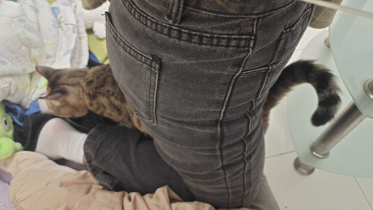 挑战随机挑选相册的图画手账4/30（图ZMzUyOTk5NzQ0） - 绘画 - 站酷设计师插画师包子joan原创素材 - 站酷ZCOOL