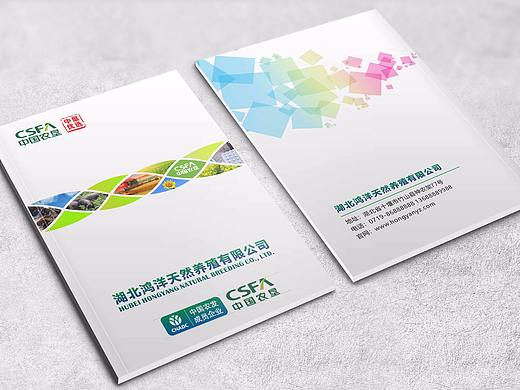 湖北鸿洋养殖农业科技有限公司 画册海报效果图