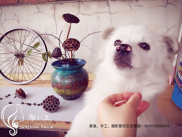 粗陶手工涂鸦（图ZNjA0NTUyODg=） - 其他摄影 - 站酷设计师xiexiaolan原创素材 - 站酷ZCOOL