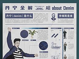 丹宁全解