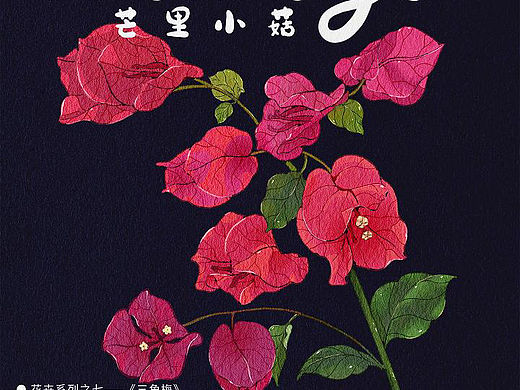原创插画花卉系列之七——《三角梅》