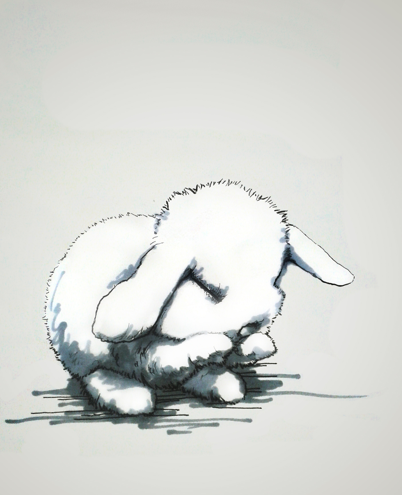 画个兔子 针管笔 马克 ps