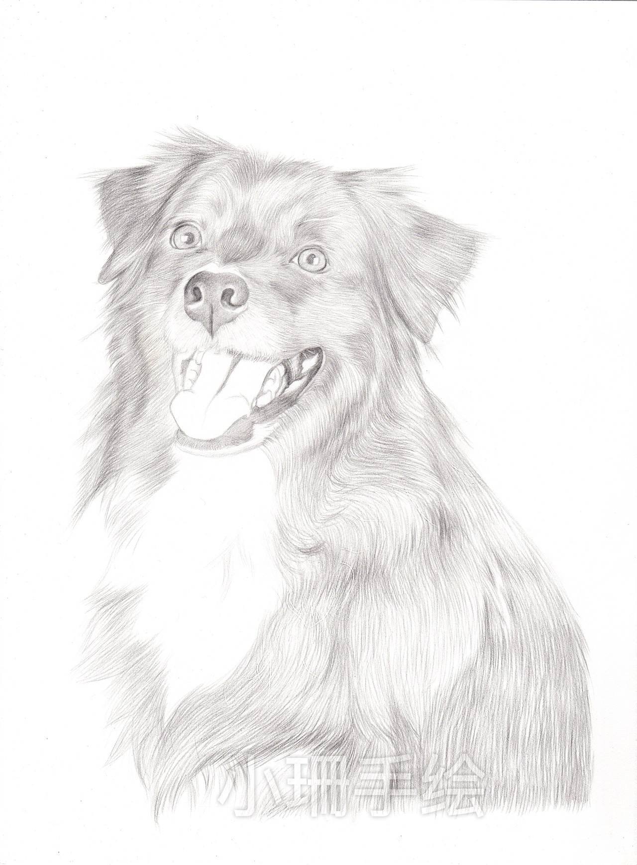 彩铅作品－大黑狗