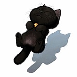 小小小懒猫的头像