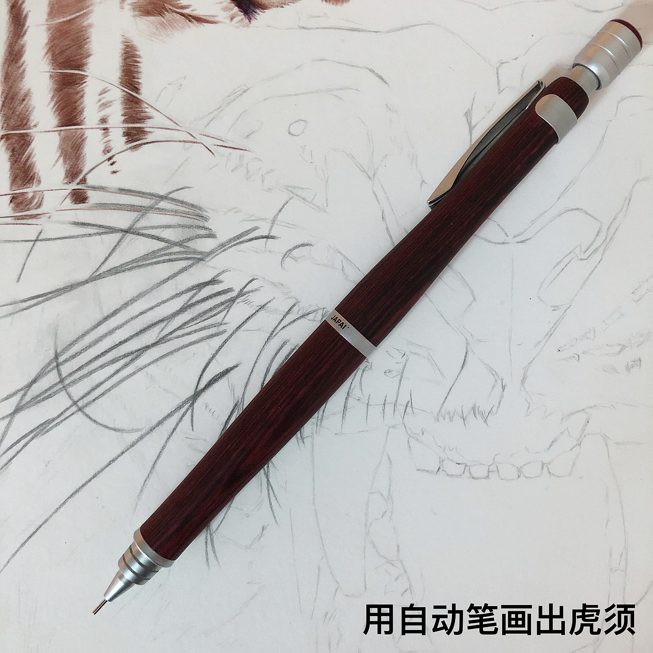 关于白胡须的圆珠笔绘画方式