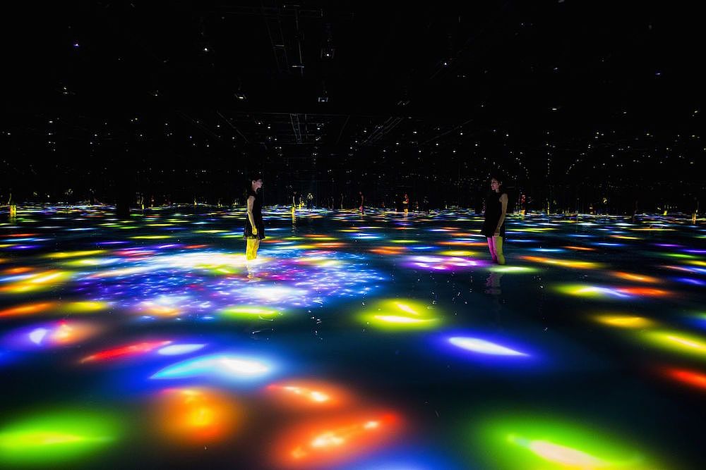 下次再抽奖,我要先去泡泡这个锦鲤池