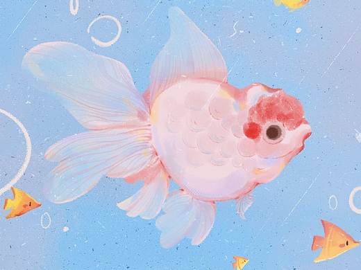 【知乎】节气开屏插画设计——大雪/春分/清明