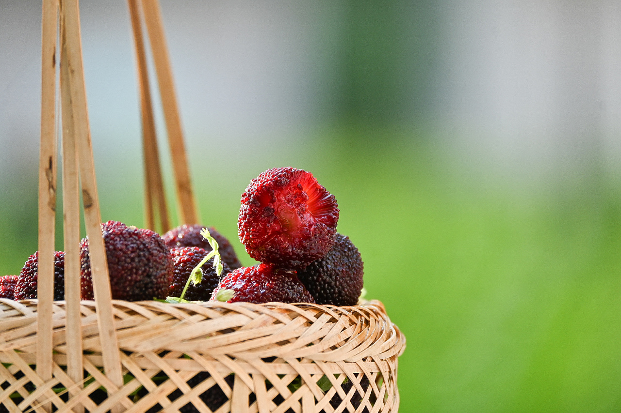 杨梅2|摄影|美食摄影|李小肉不吃肉 - 原创作品 - 站酷 (zcool)