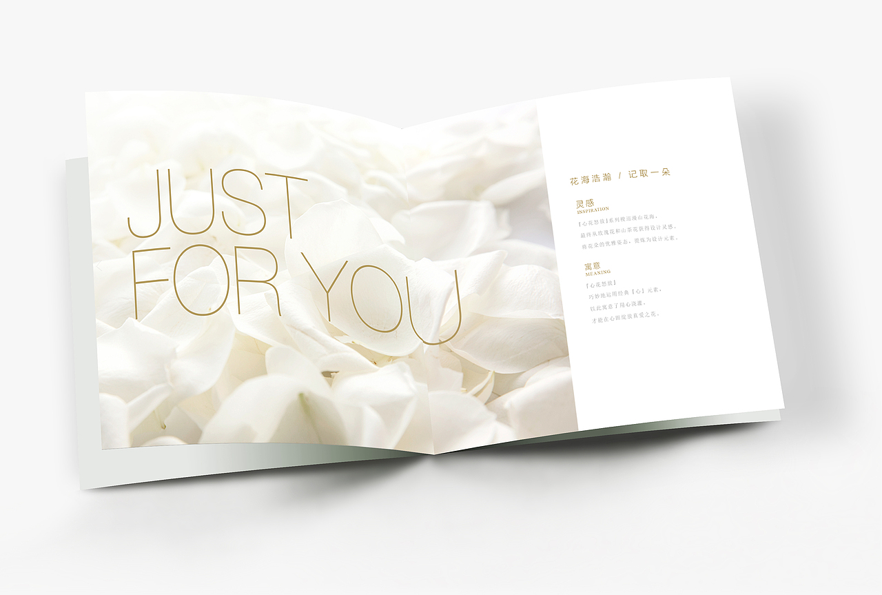 画册 / 珠宝画册