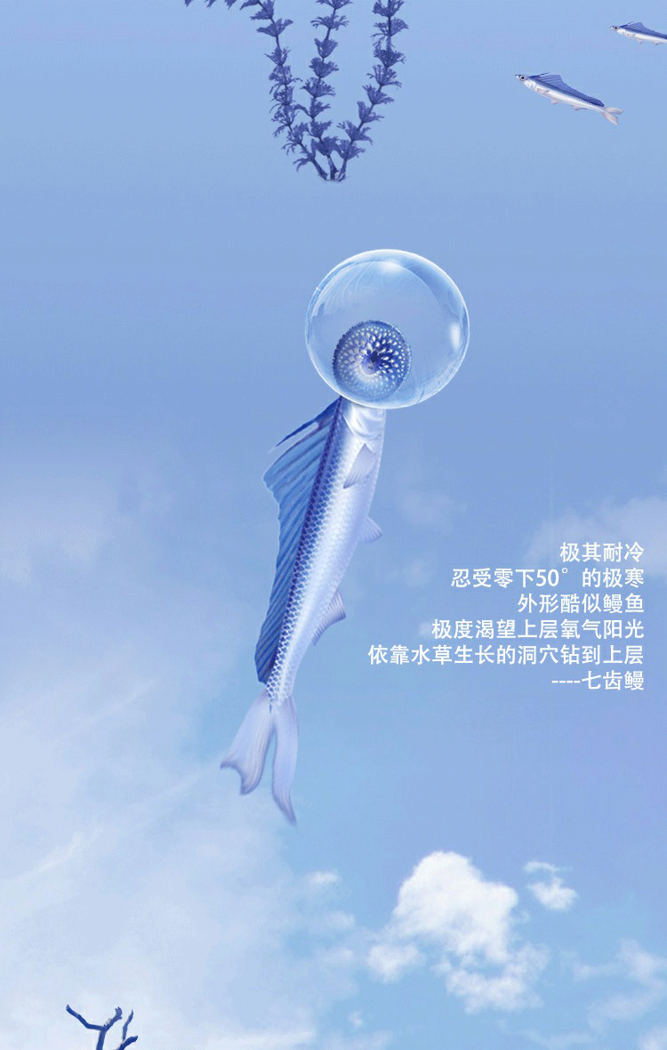 自媒体设计《末日之后》----冰（图ZMTYwNDM2NDUy） - 宣传物料 - 站酷设计师暹罗不是猫原创素材 - 站酷ZCOOL