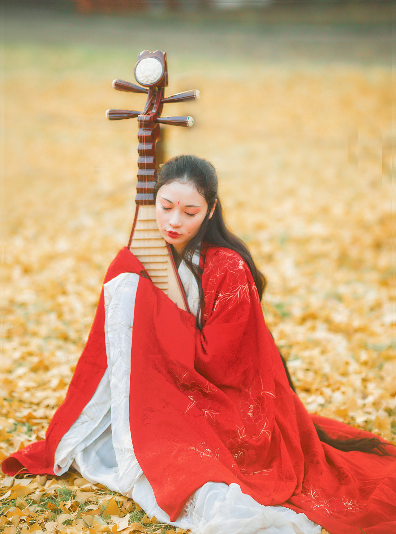 古典琵琶摄影图片-古典琵琶摄影作品-千库网