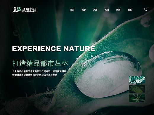 企业官网第六弹