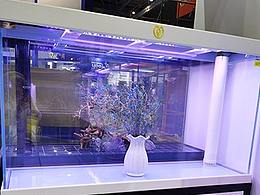 名亨水族官网伪静态大气唯美