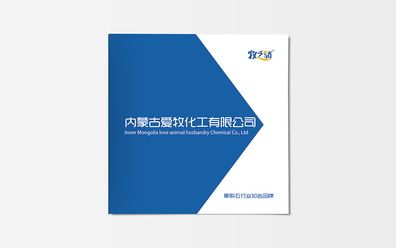 宣传册（图ZMTgxNTAyMzY0） - 书籍/画册 - 站酷设计师琳曼视觉设计原创素材 - 站酷ZCOOL