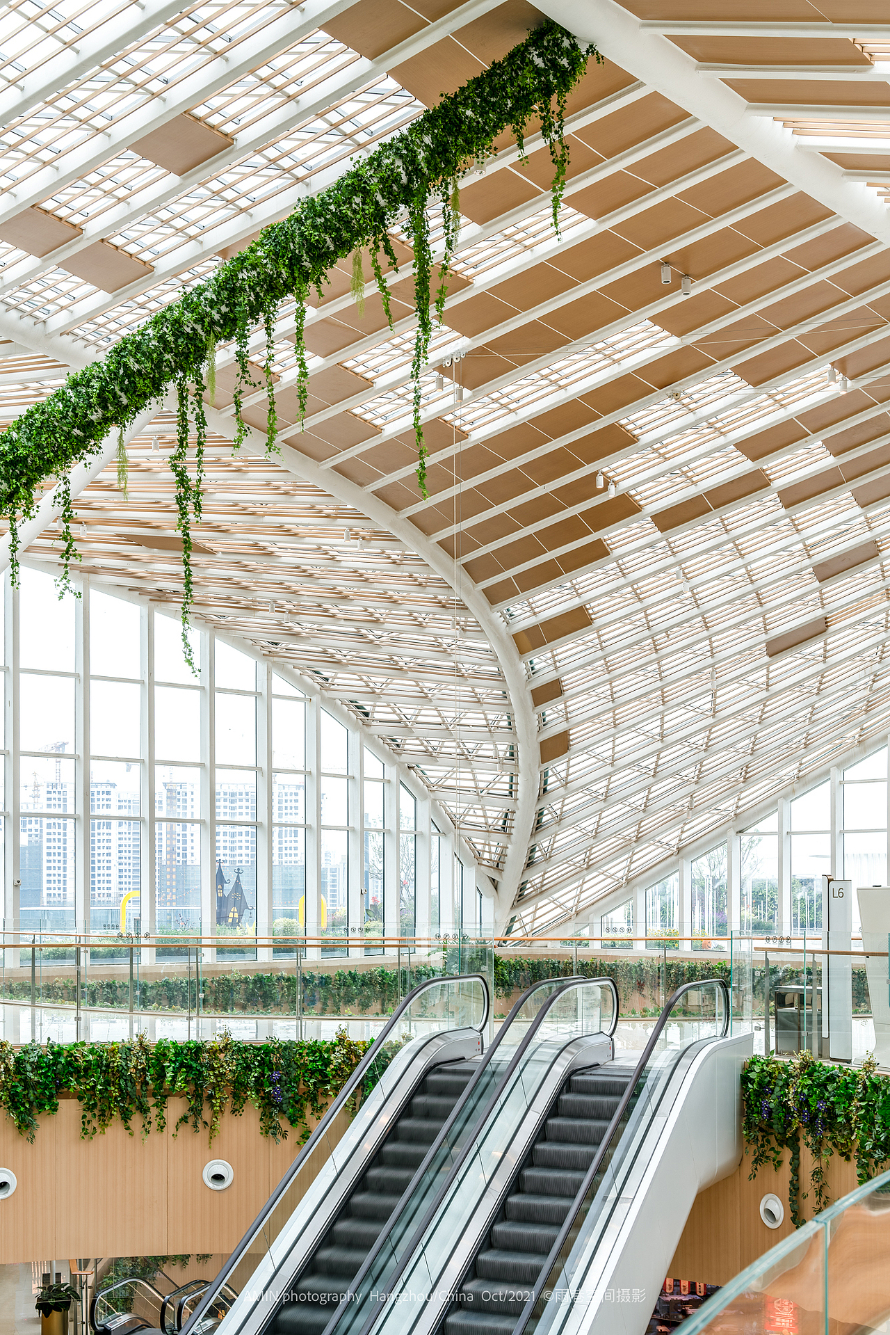 在大大的城市里,你常常会梦到什么?