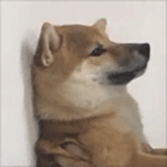 柴犬齐天动图篇表情包（图ZMTgwNDUxOTQ0） - 网络表情 - 站酷设计师非正常猫狗研究所原创素材 - 站酷ZCOOL
