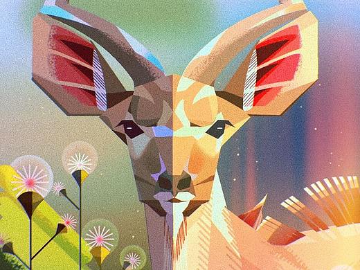 【原创商业插画】-NATURE