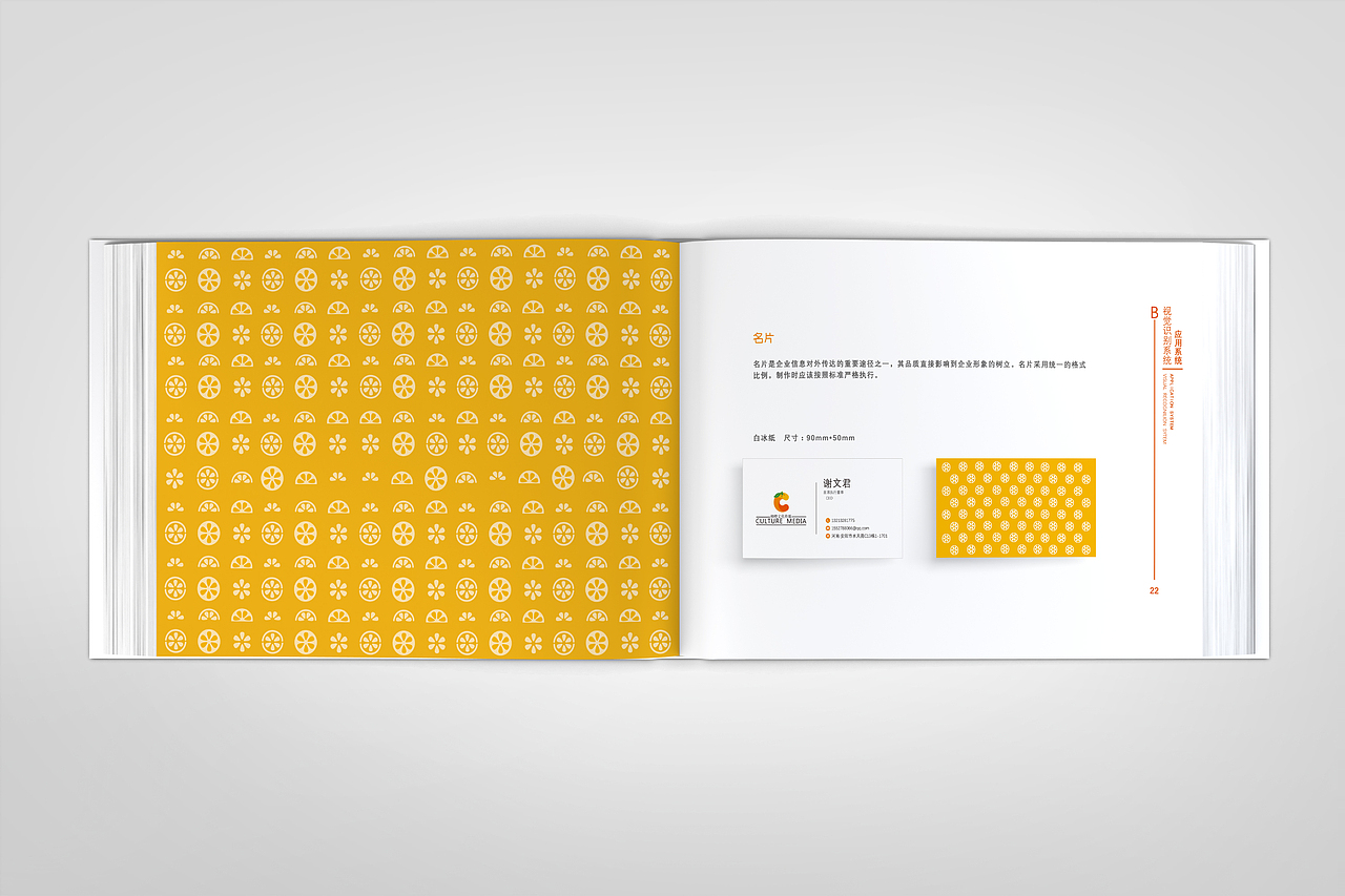 柳橙文化传媒有限公司|视觉识别系统