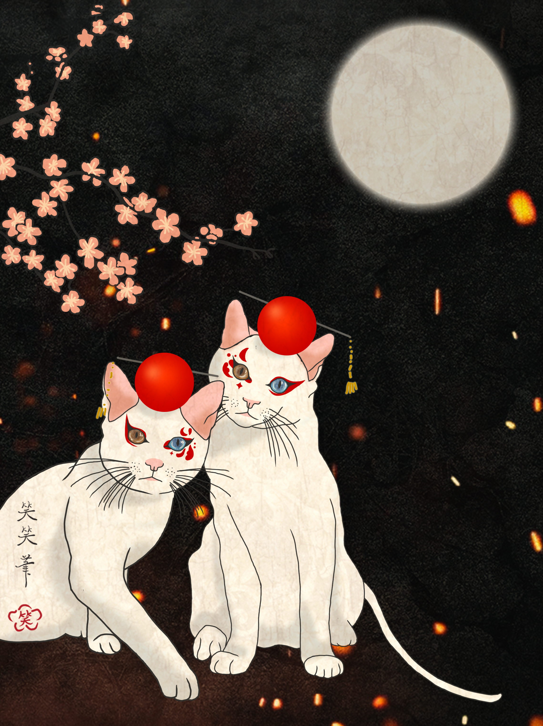 野蛮生长の孪生白猫