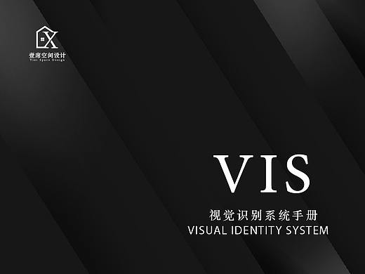 VIS手册
