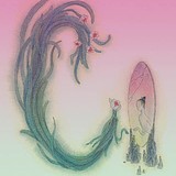 乎阿阿阿阿的头像