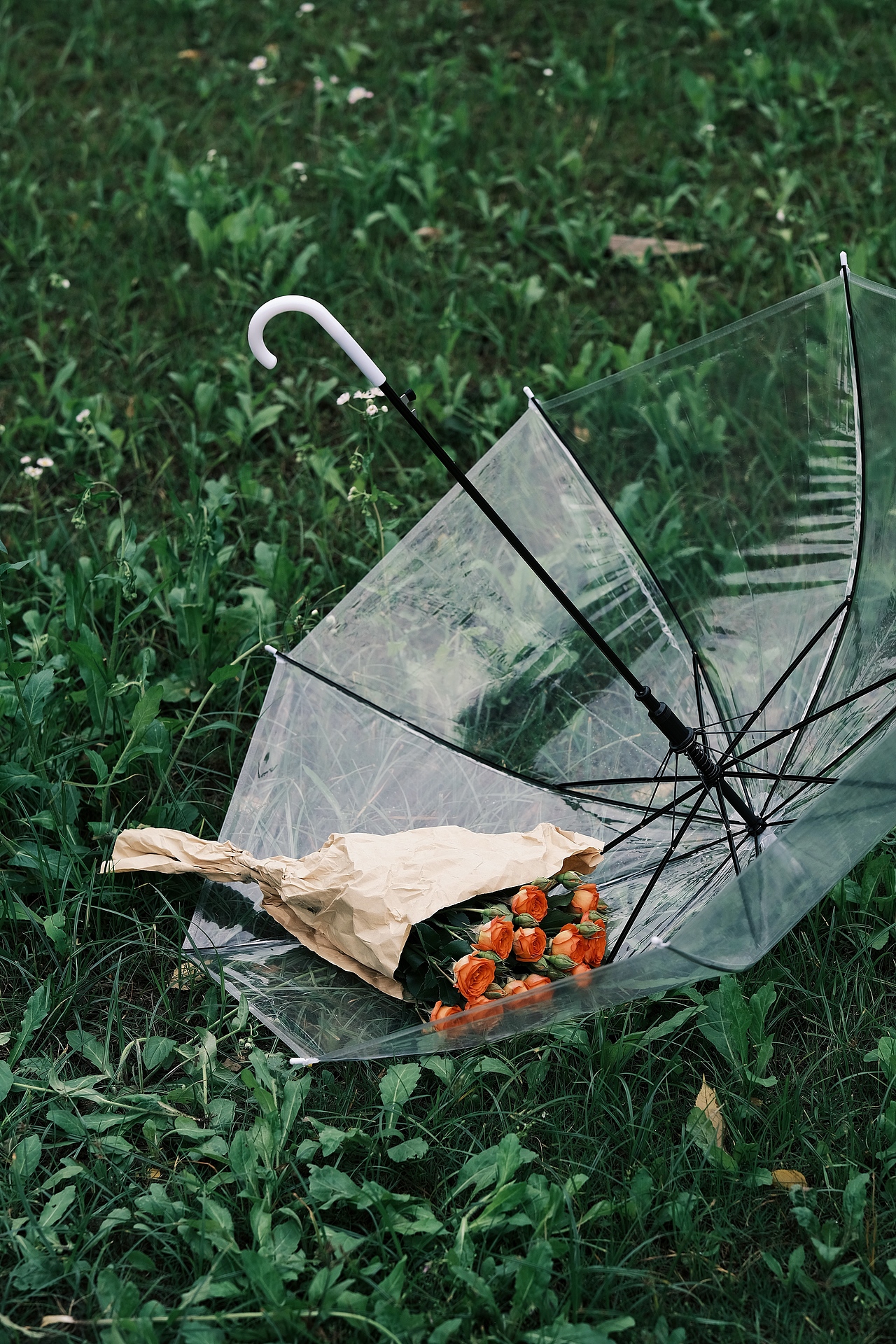 雨天氛圍感（圖ZMzY4NDk1NDEy） - 其他攝影 - 站酷設計師別人笑我太瘋顛啊原創(chuàng)素材 - 站酷ZCOOL