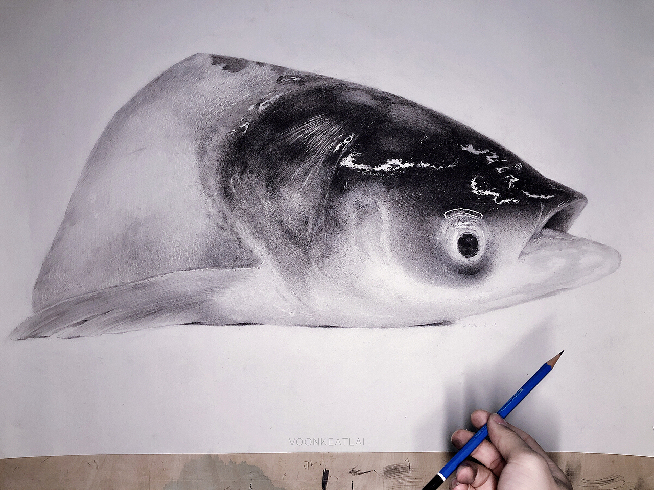 素描鱼头