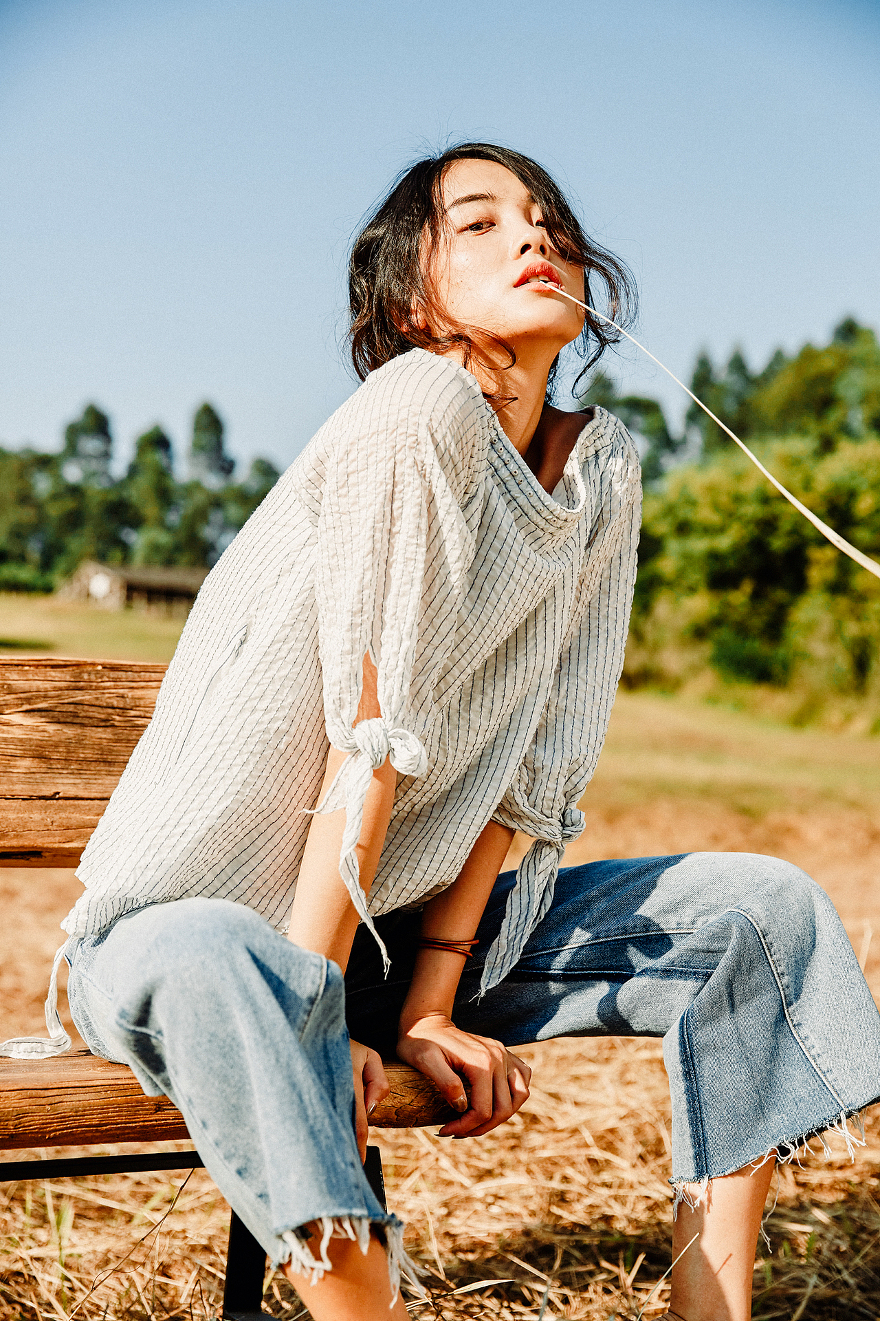 森系-慵懒的午后