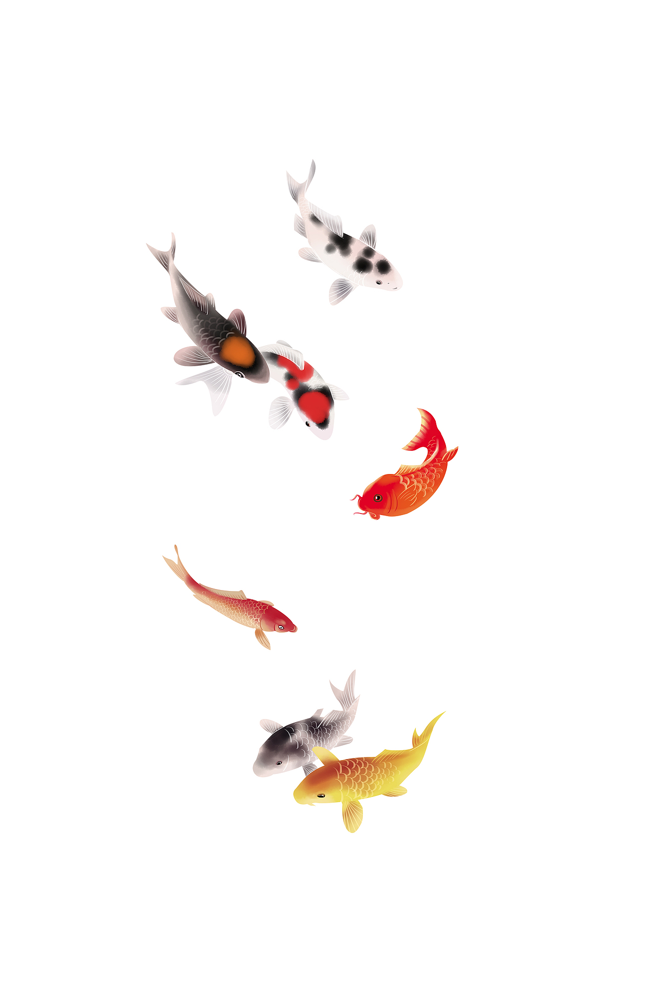 牡丹锦鲤花鸟tu