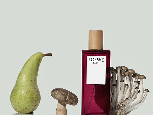 KV拍摄｜LOEWE植物彩虹系列