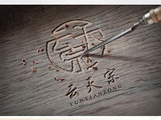 云天宗 logo+包装