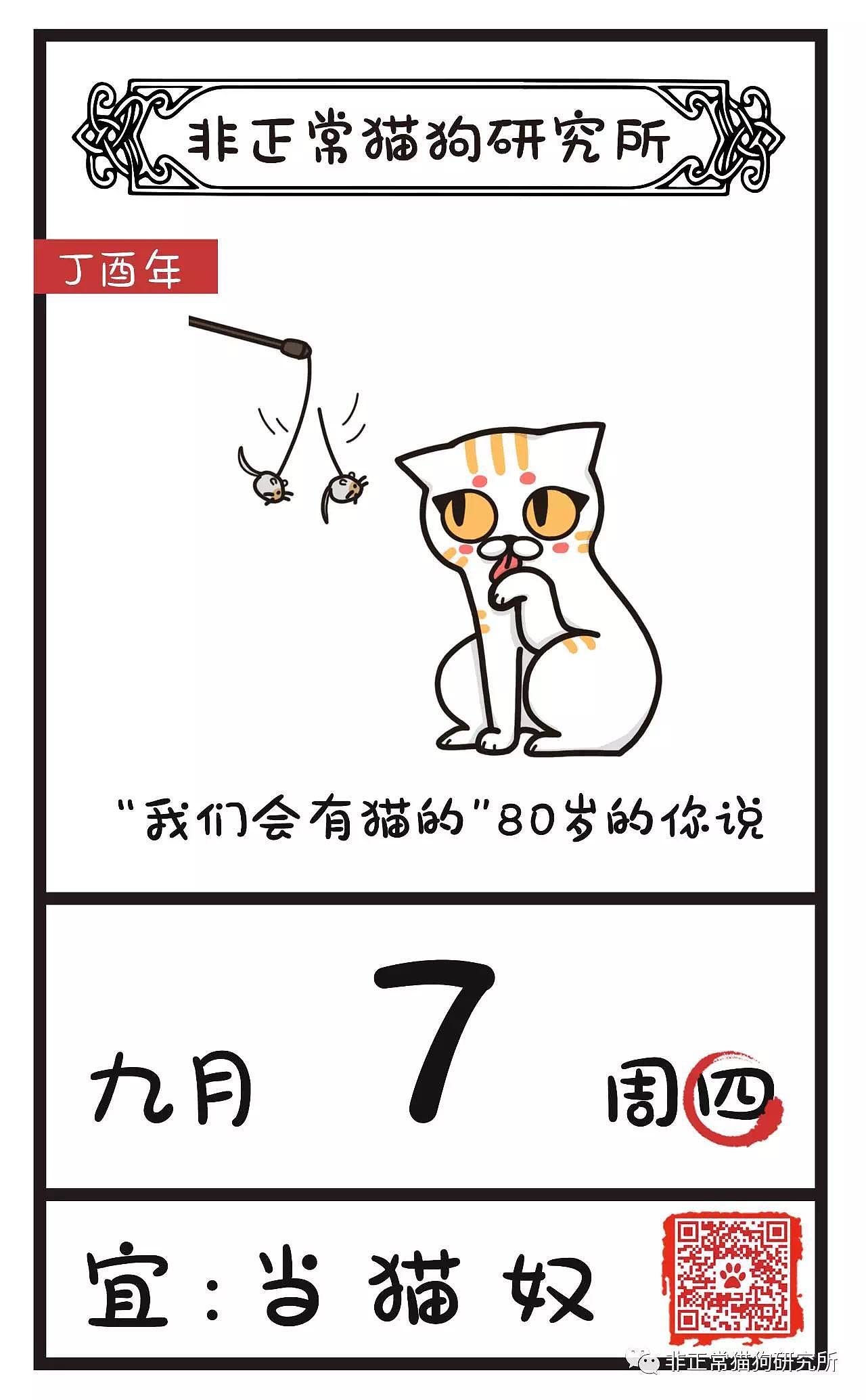 猫狗通胜#9月7日#
