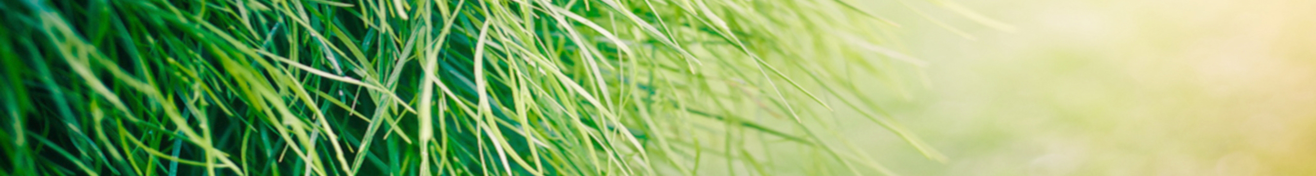 閣道三的個人主頁（封面預(yù)覽） - 主頁封面設(shè)置 - 站酷設(shè)計師閣道三原創(chuàng)素材 - 站酷ZCOOL