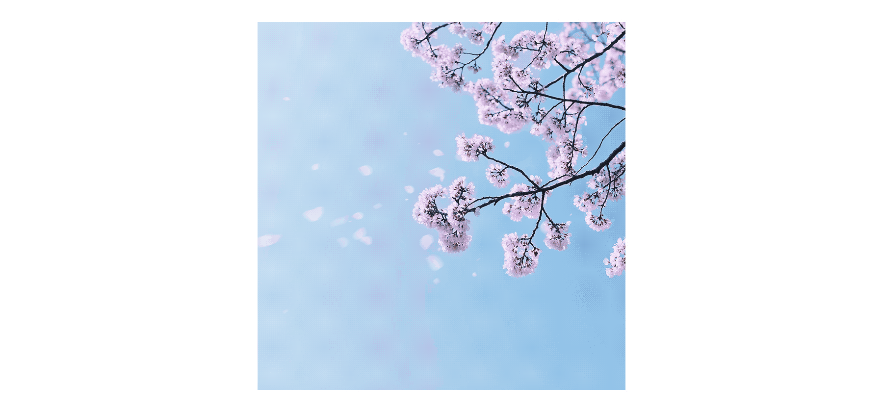 项目复盘-分布式云盘BitDisk(图ZMTgxOTgyMTM2) - APP界面 - 站酷设计师超级用户Sudo_i原创素材 - 站酷ZCOOL