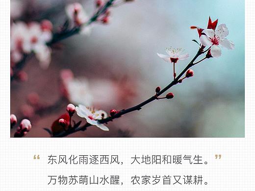 节气日签