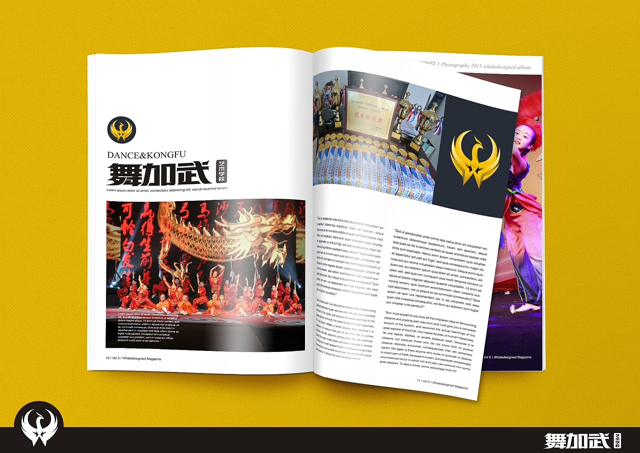 沈阳 | 品牌升级飞机稿（图ZMTc1OTM3NDg0） - 品牌 - 站酷设计师DUKEHOO原创素材 - 站酷ZCOOL