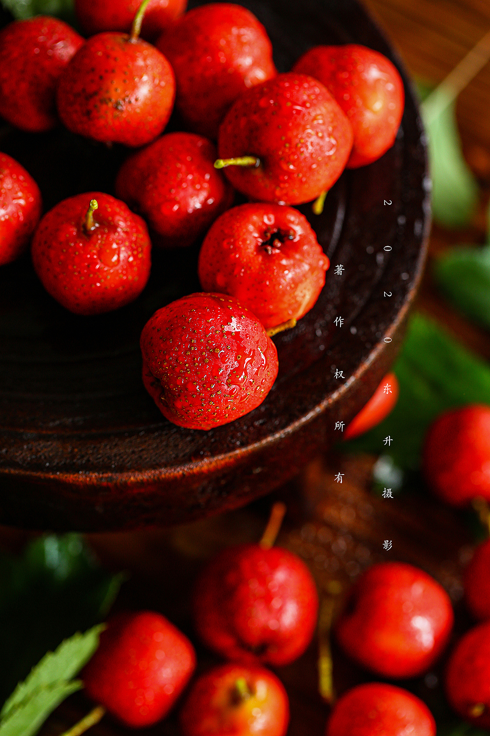 东升摄影工作室