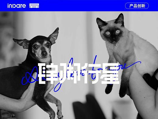 肆脚行星 x inDare | 宠物揣手包产品创意设计