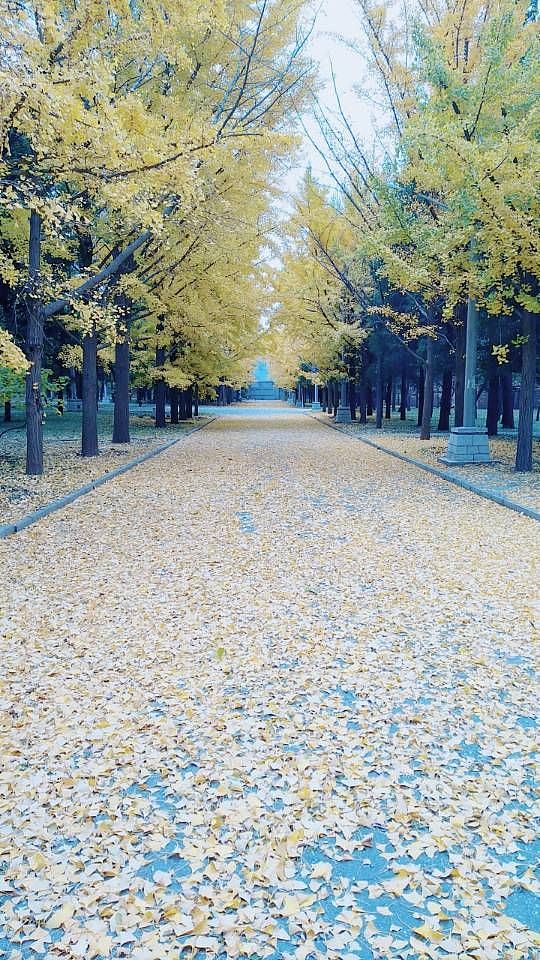 风景（图ZOTY0Njg3MzY=） - 产品摄影 - 站酷设计师S大海原创素材 - 站酷ZCOOL