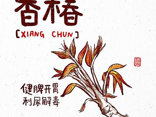 【春日尝鲜：野菜手绘一览表】