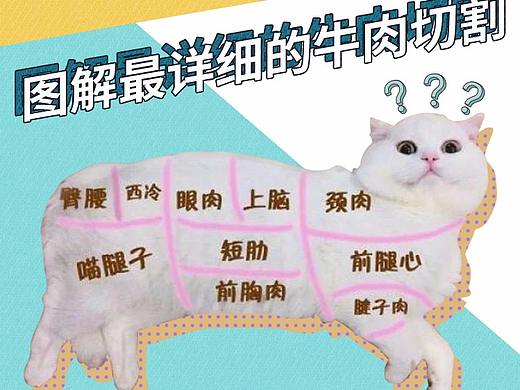 牛肉小知识